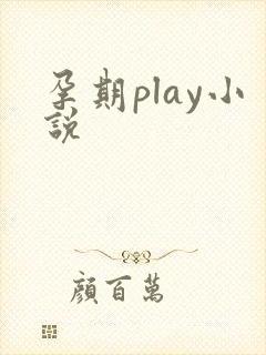 孕期play小说
