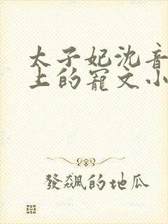 太子妃沈音和皇上的宠文小说