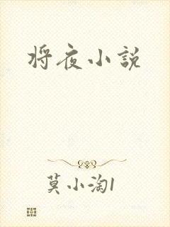 将夜小说封面