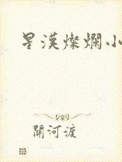 星汉灿烂小说