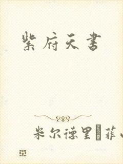 紫府天书封面