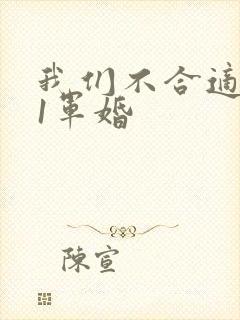 我们不合适1v1军婚