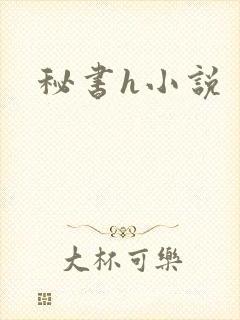 秘书h小说