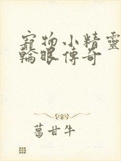 宠物小精灵之写轮眼传奇