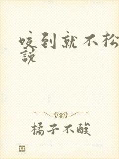 咬到就不松口小说