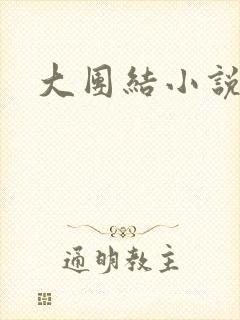 大团结小说全文