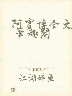 阿宾传全文阅读 笔趣阁封面