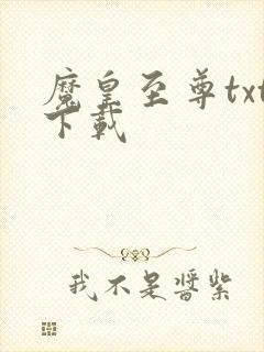 魔皇至尊txt下载