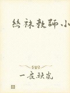 《丝袜教师小说》小说封面