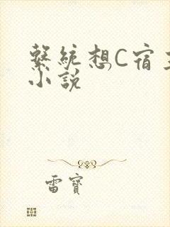 系统想C宿主的小说