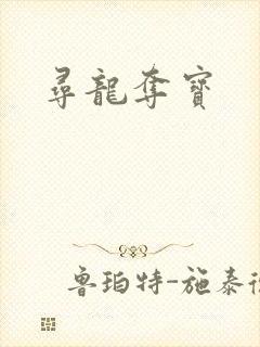 寻龙夺宝
