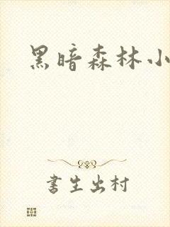 黑暗森林小说