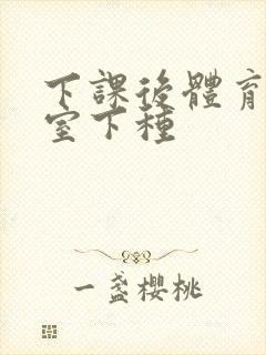 下课后体育器材室下种