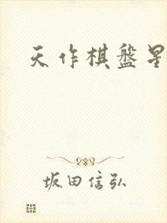 天作棋盘星作子