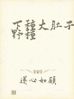 下种大肚子怀孕野种