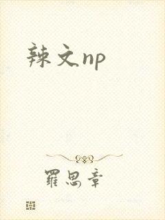 辣文np