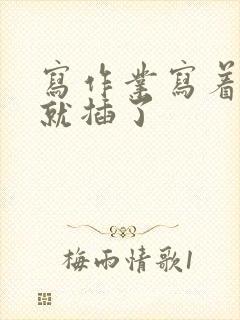 写作业写着写着就插了