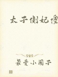 太子侧妃傻乎乎