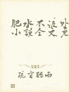 肥水不流外人田小说全文免费阅读全本免封面