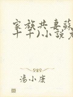 家族共妻苏苏(十千)小说免费