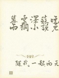 慕云泽苏晚晴夏雨桐小说免费阅读