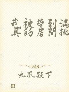 我被带到满是玩具的房间挑调游戏