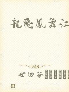 龙飞凤舞江一龙