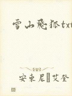雪山飞狐txt