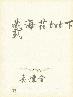 藏海花txt下载