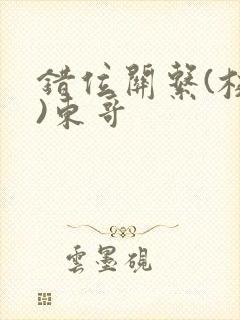 错位关系(校园)东哥