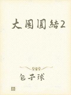 大团圆结2