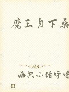 魔王月下桑