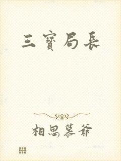 《三宝局长》小说封面