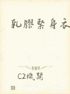 乳胶紧身衣小说封面