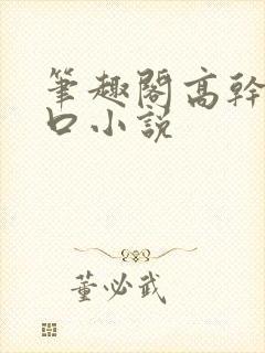 笔趣阁高干文入口小说