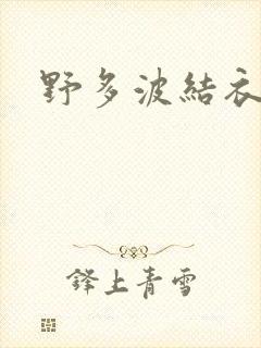 野多波结衣
