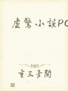 虚惊小说PO