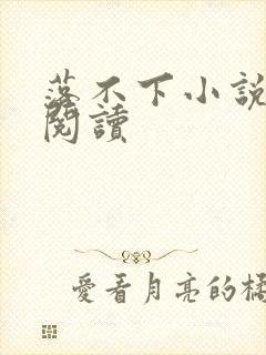 落不下小说免费阅读