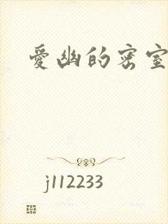 爱幽的密室小说
