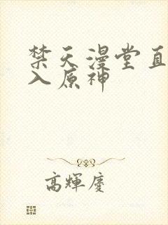 禁天漫堂直接进入原神