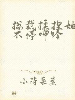 总裁揉捏她两乳不停呻吟