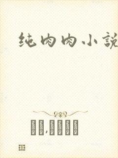 纯肉肉小说