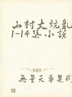 山村大炕乱肉续1-14集小说