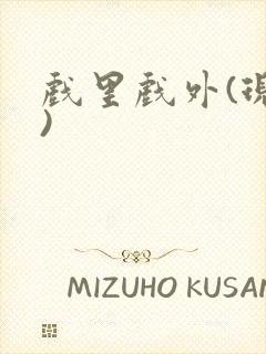 戏里戏外(现场)