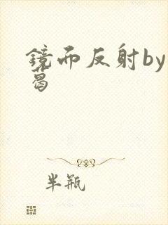 镜面反射by九葛