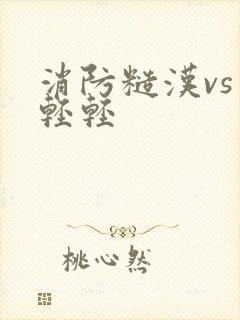 消防糙汉vs宋轻轻