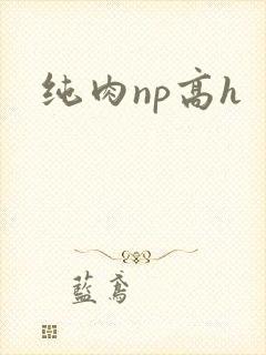 纯肉np高h