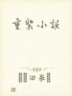 重紫小说