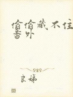 《偷偷藏不住新婚番外》小说封面