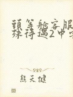 头等舱客服的特殊待遇2中字